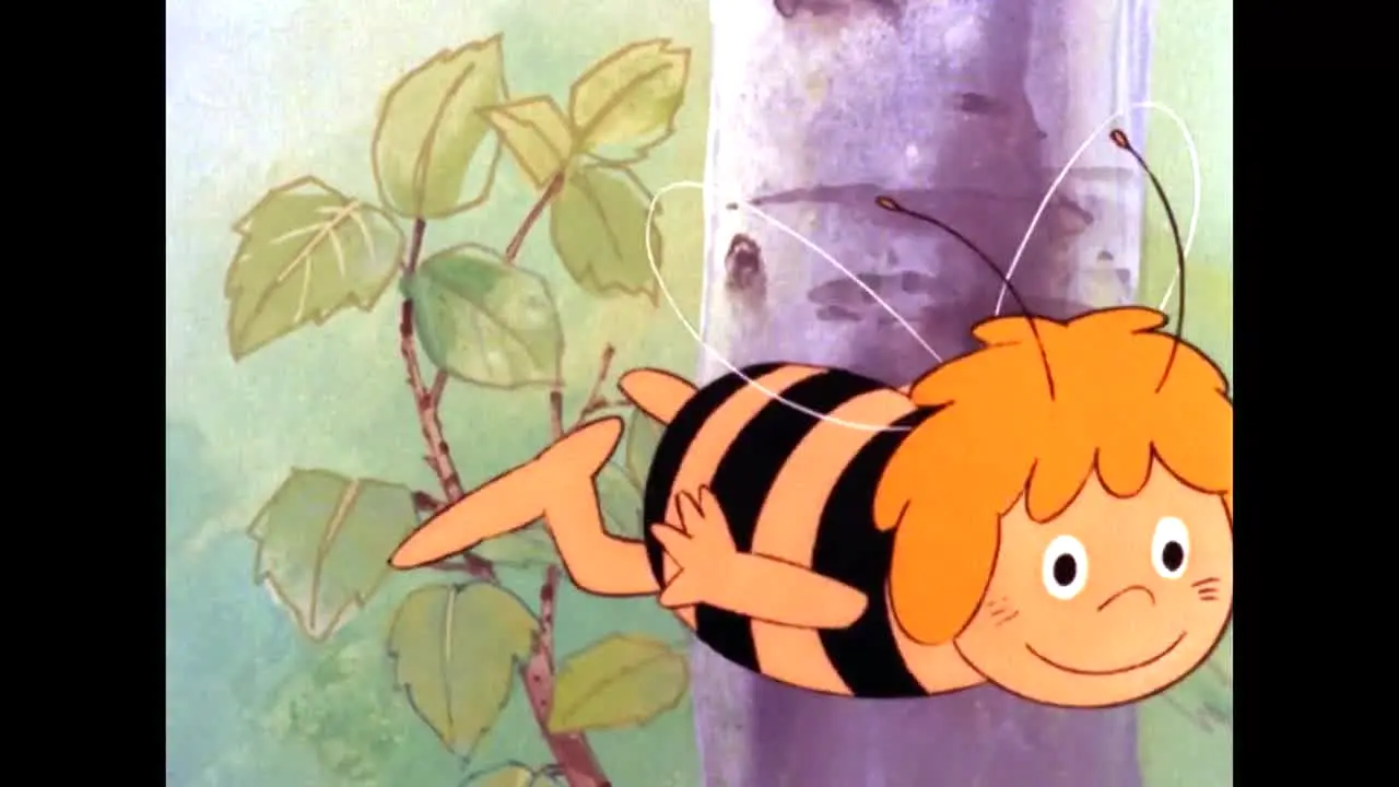 La Abeja Maya na żywo