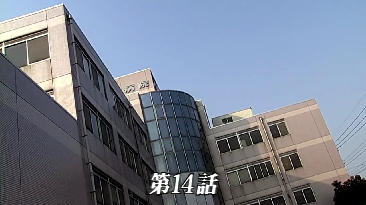 Tokusato ao vivo