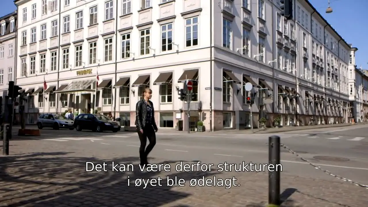 Skjønnhetsfellen Danmark na żywo