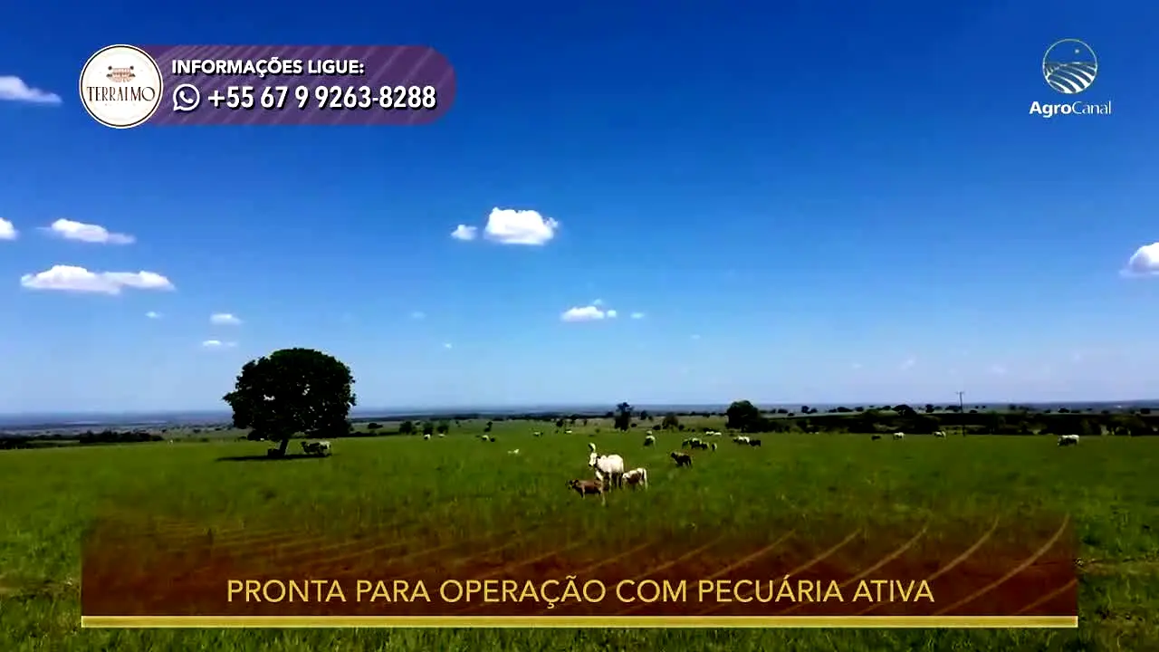 AgroCanal live