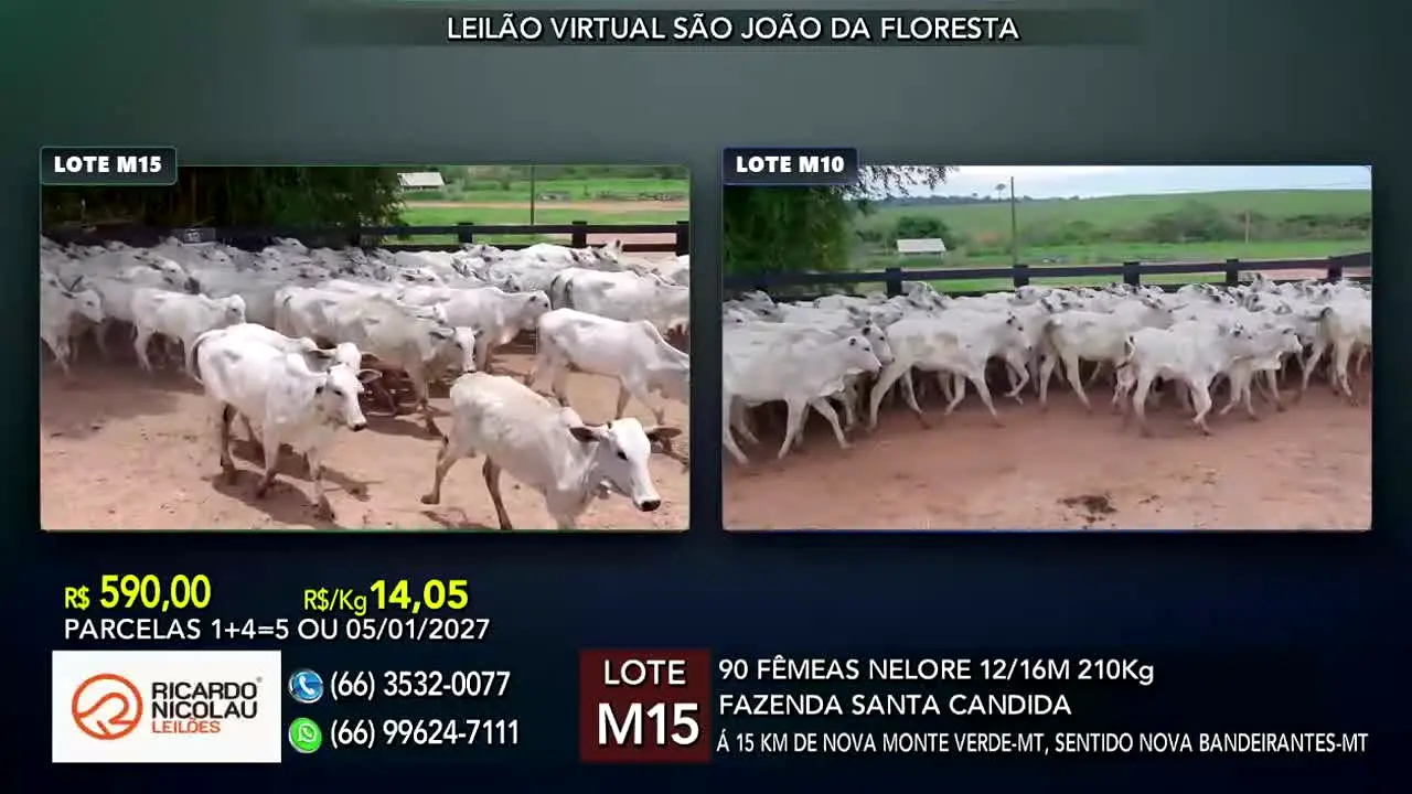 AgroCanal live