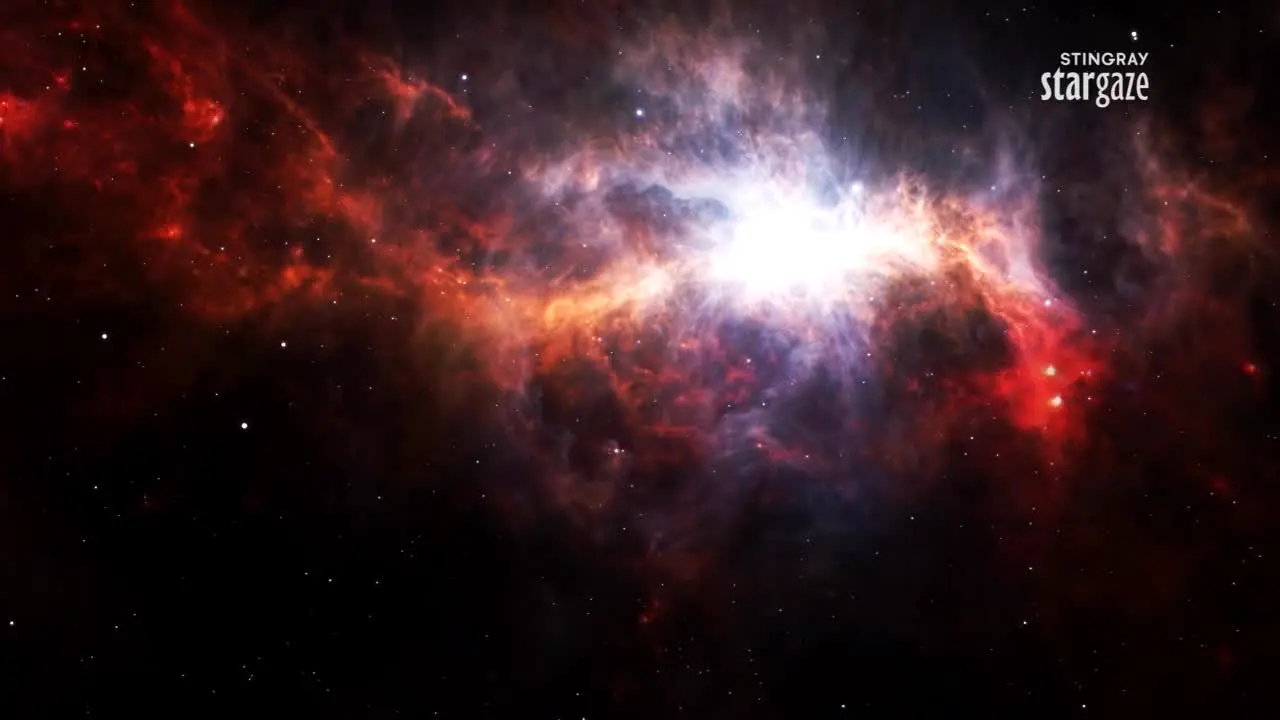 Stingray Stargaze live