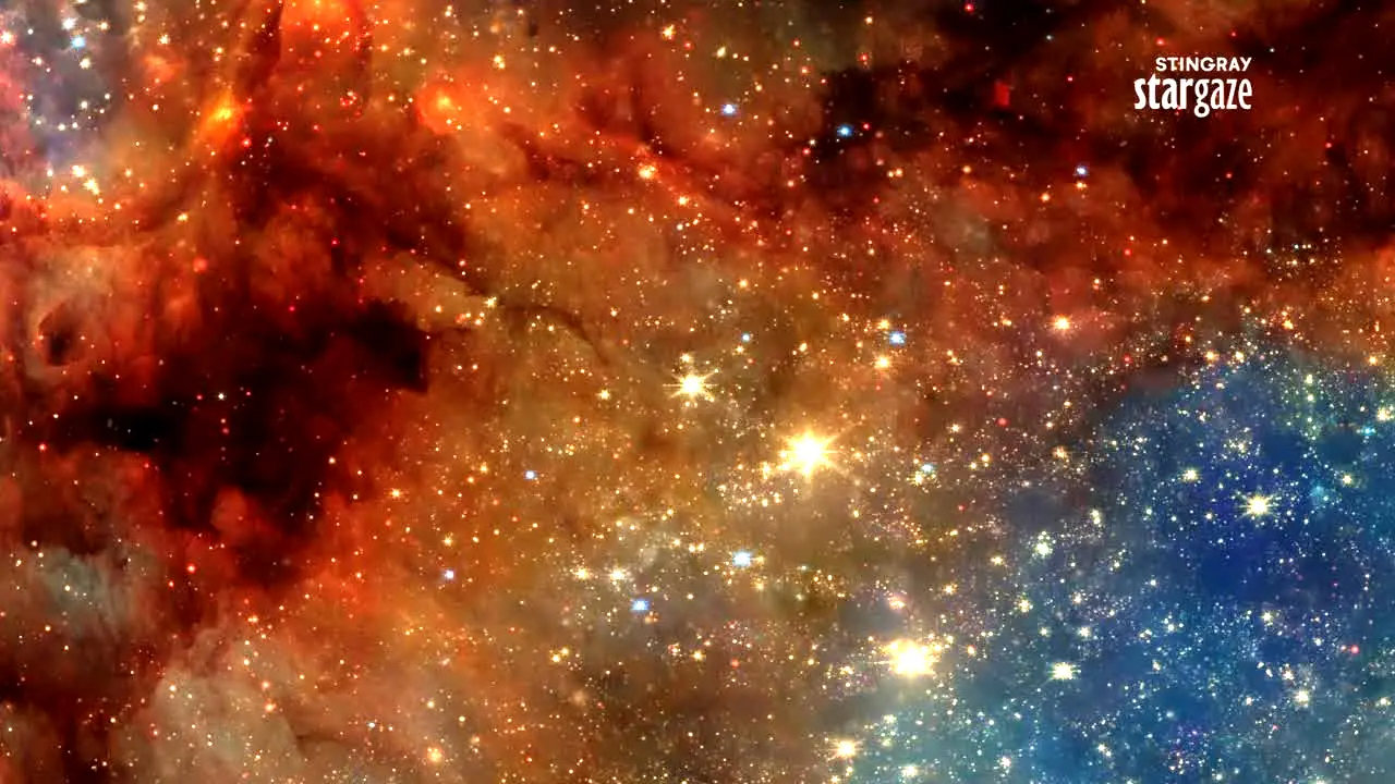 Stingray Stargaze in diretta