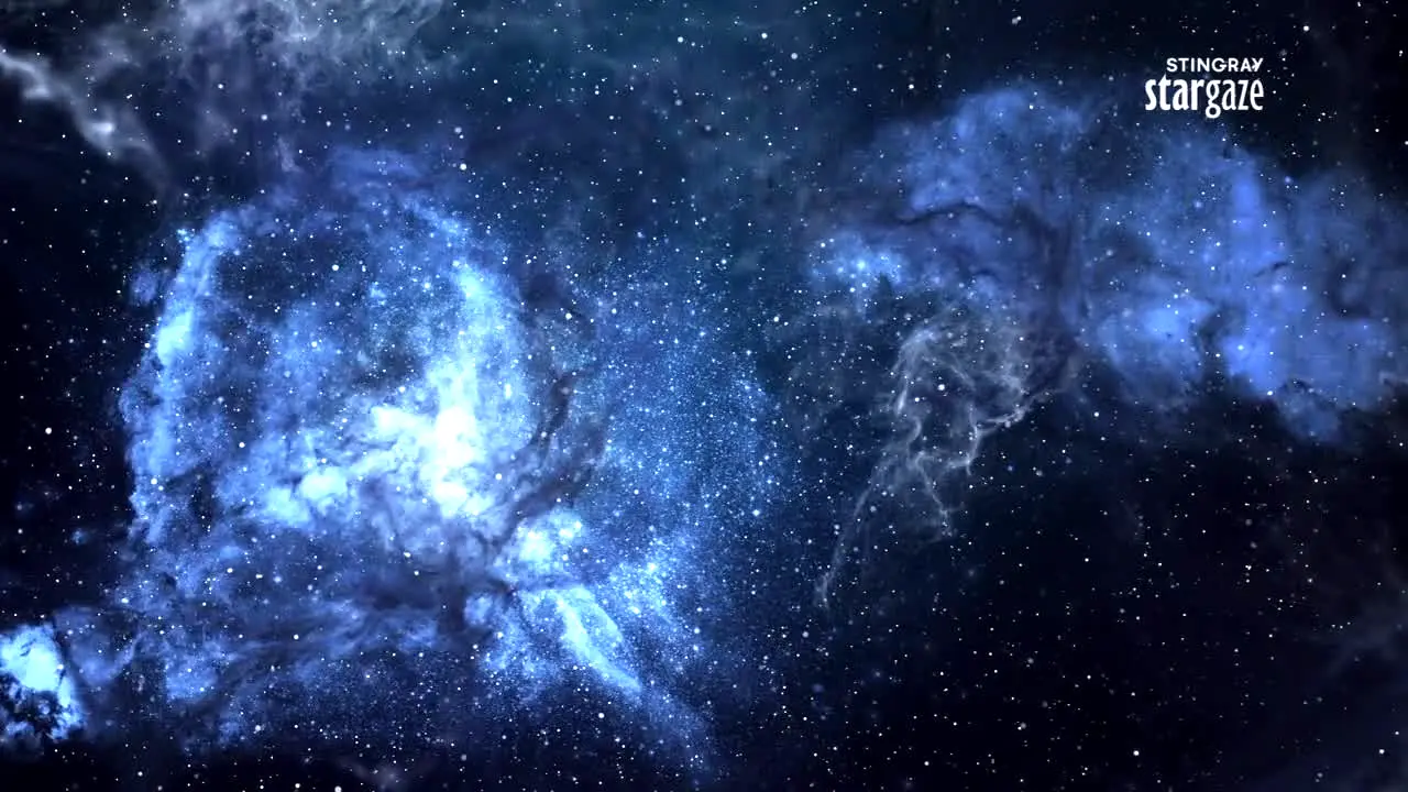 Stingray Stargaze na żywo