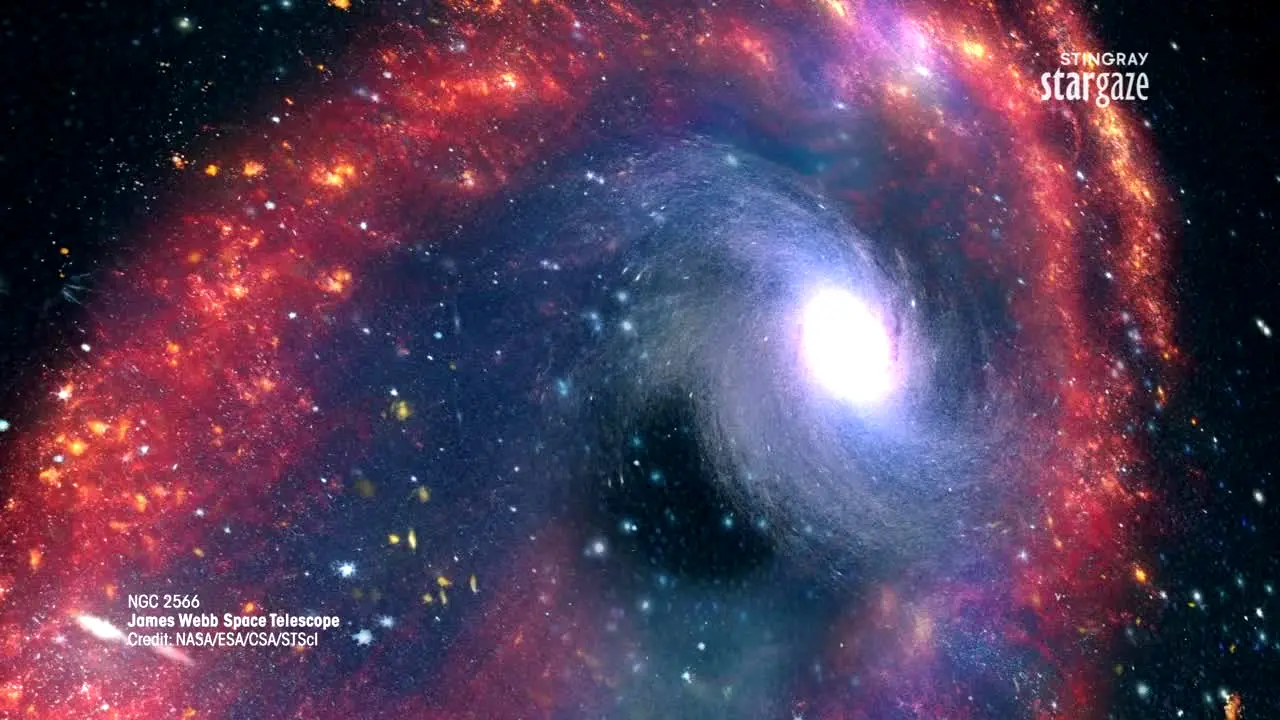 Stingray Stargaze en direct