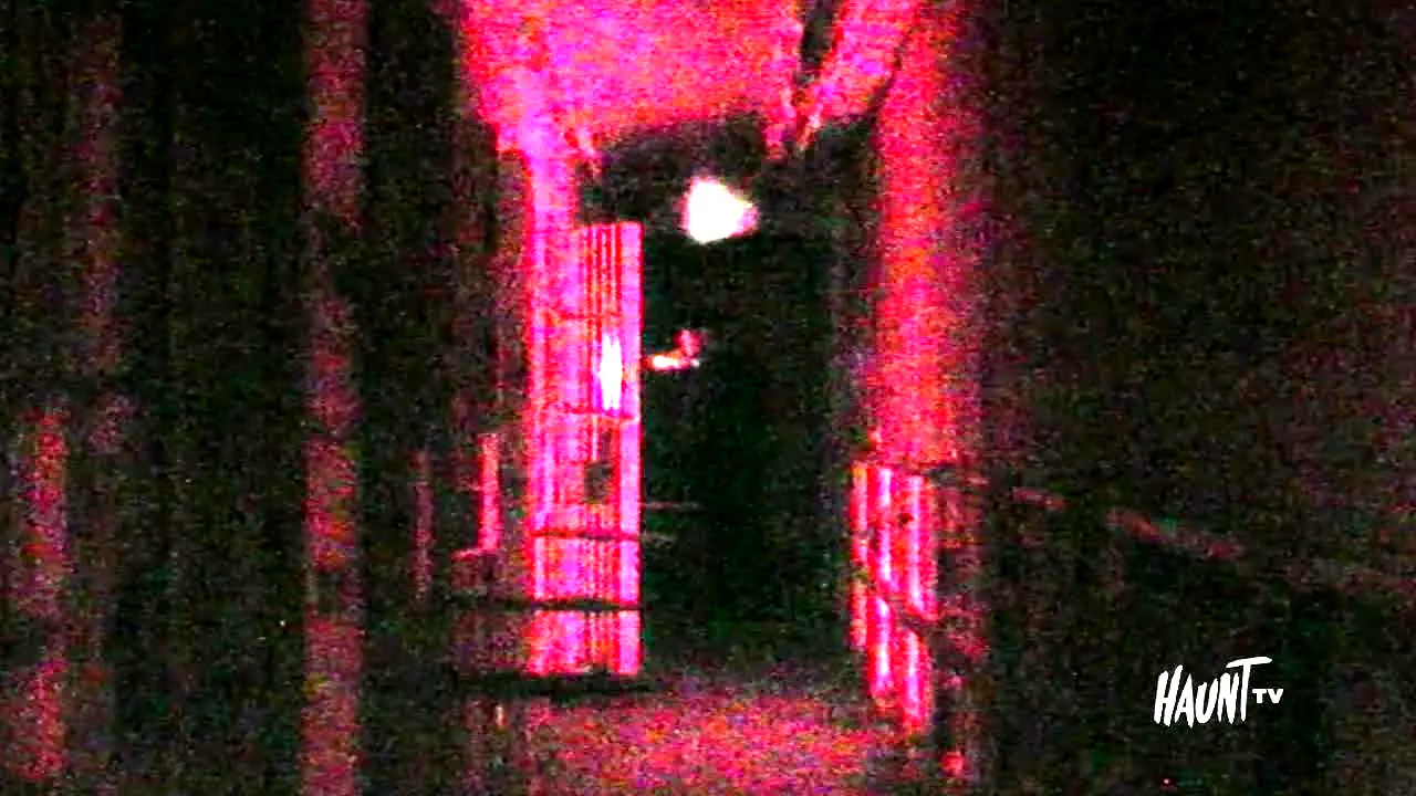 Haunt TV en direct