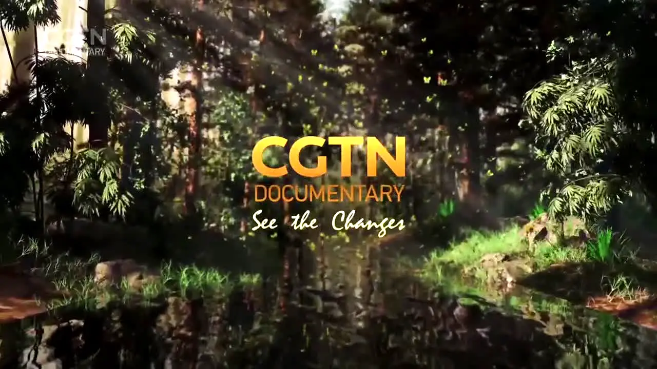 CGTN Documentary na żywo