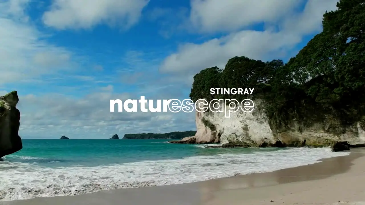 Stingray Naturescape live