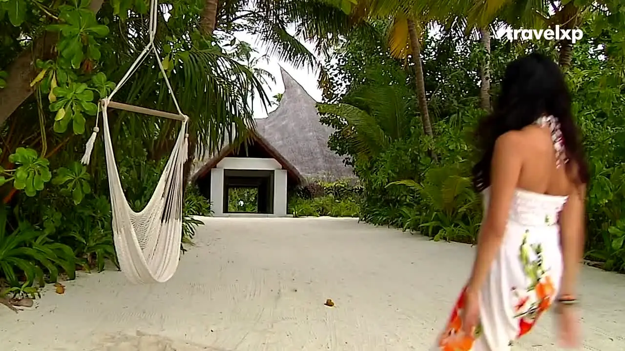 Travelxp en vivo