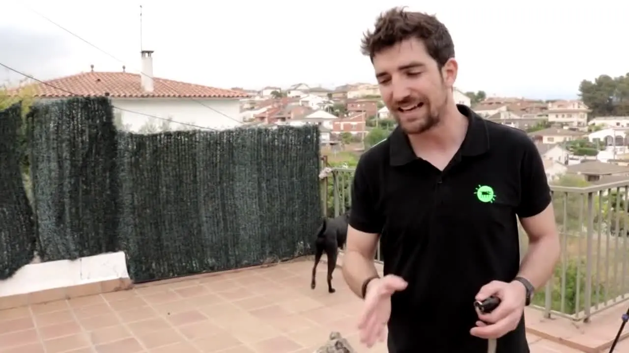 Vivir con perros en direct