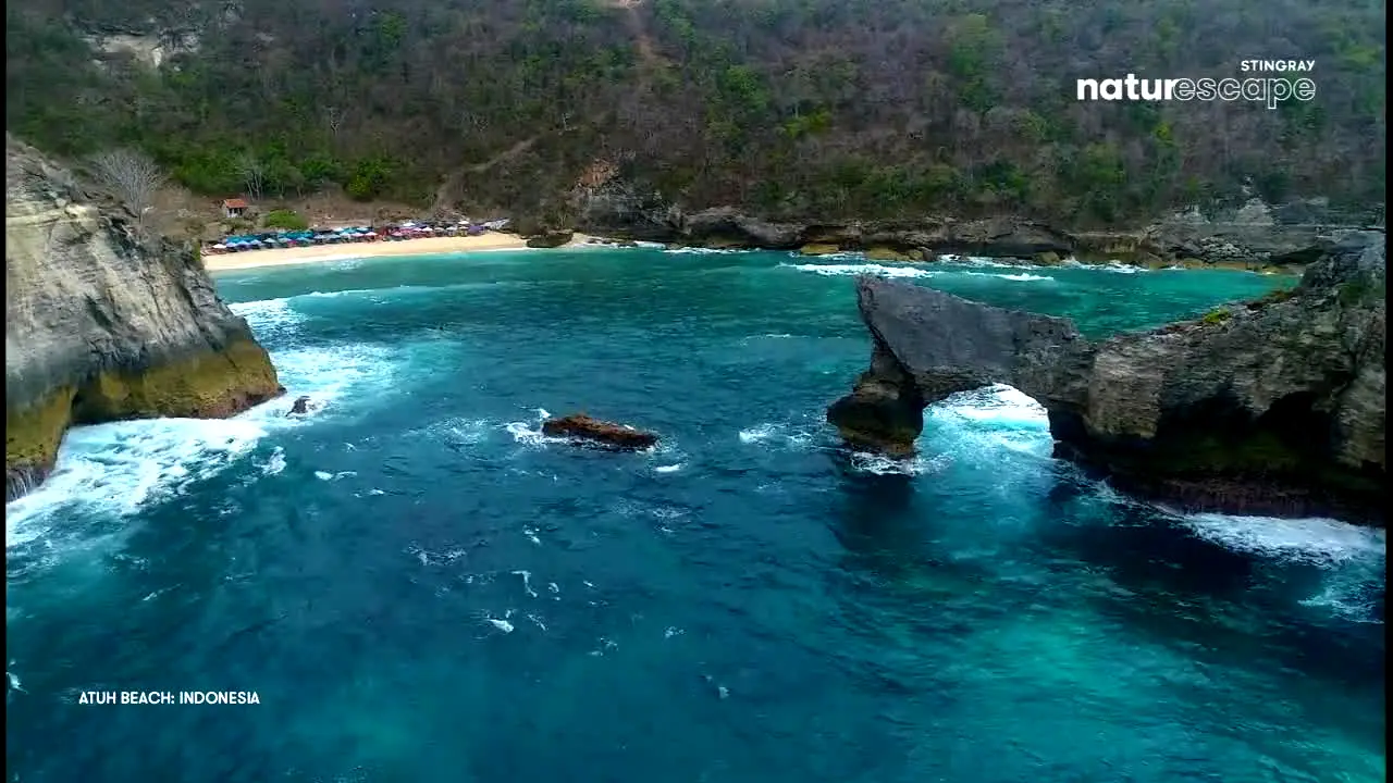 Stingray Naturescape live