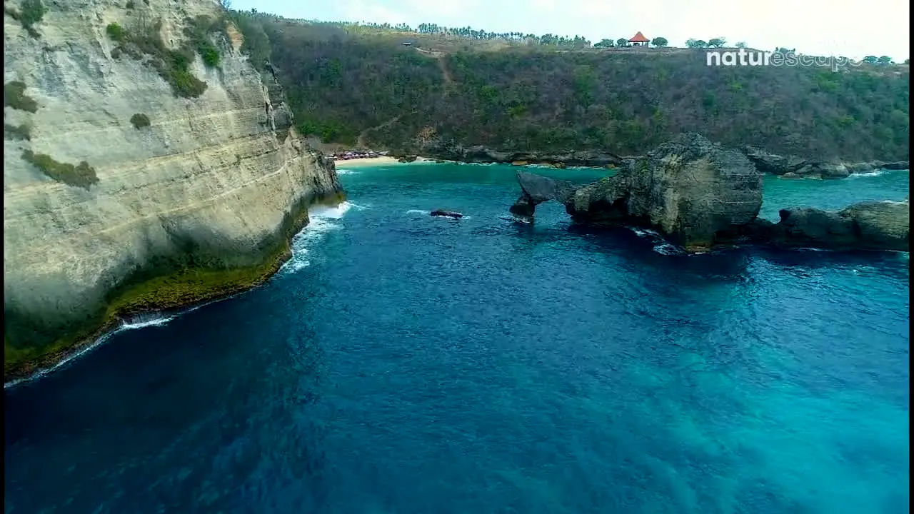Stingray Naturescape live