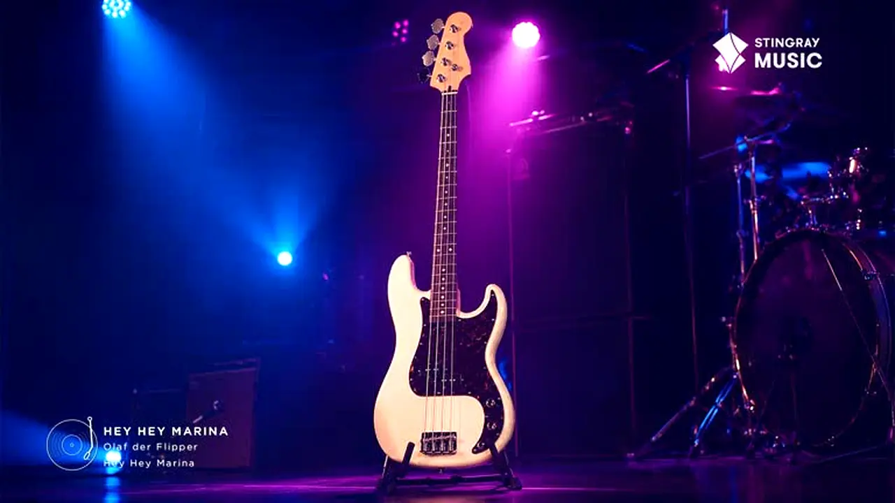 Stingray Schlager live