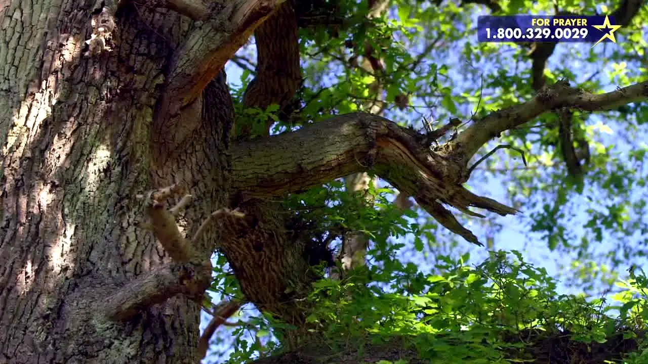 Daystar TV na żywo