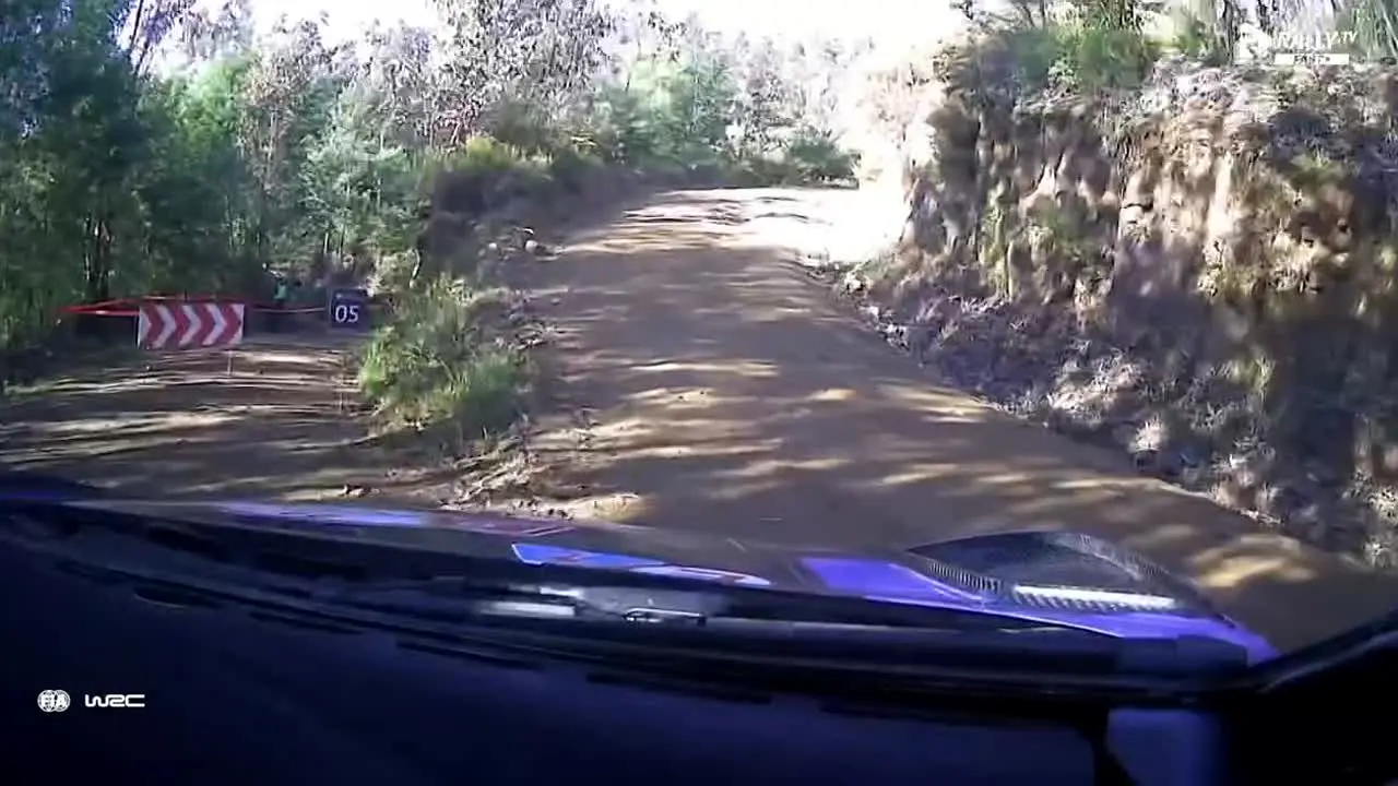 Rally.TV FAST+ live