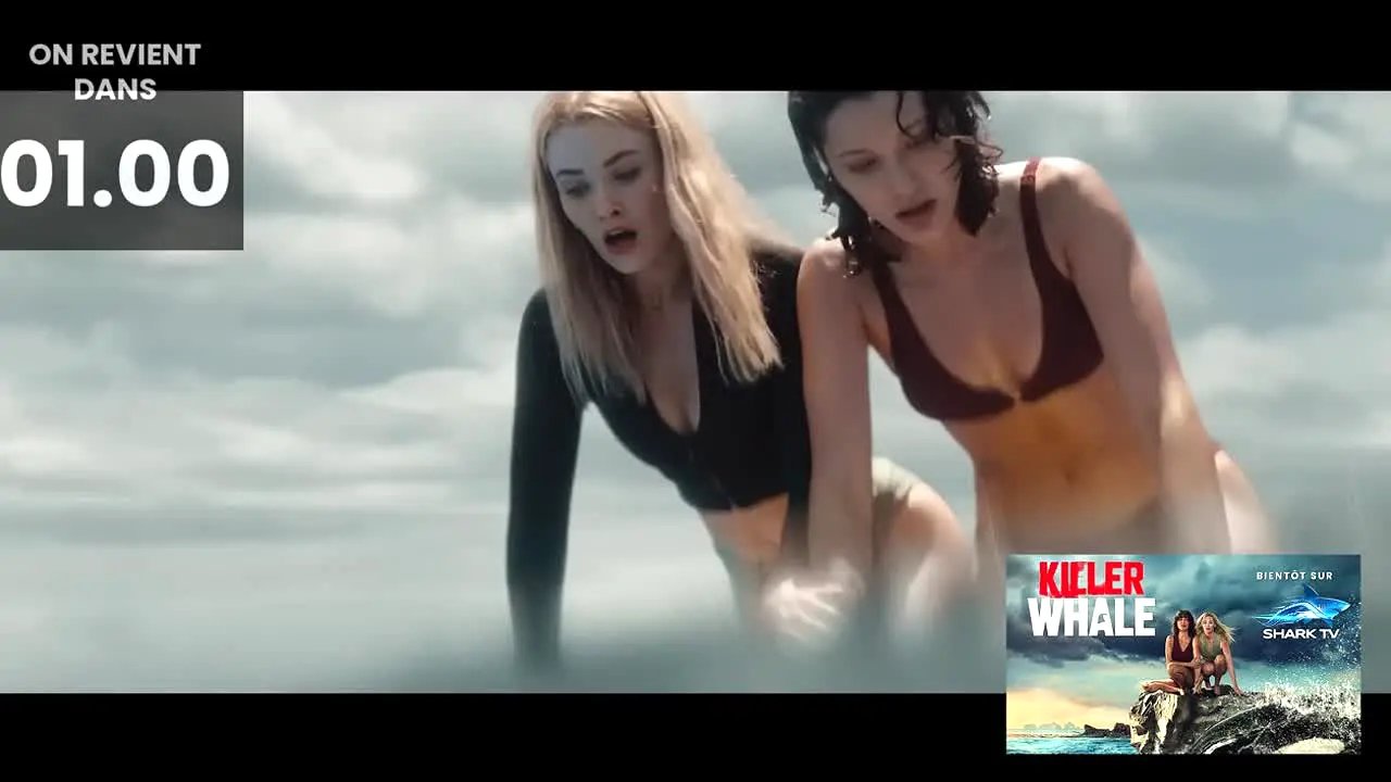 Shark TV ao vivo