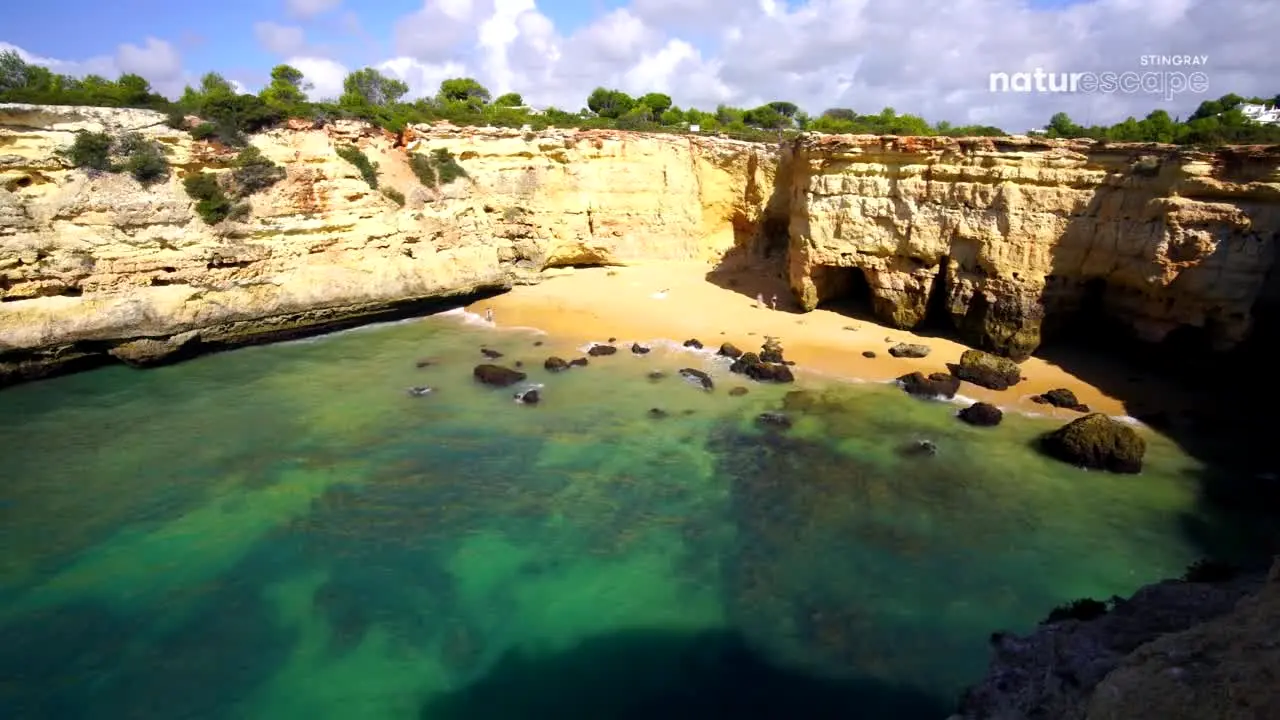 Stingray Naturescape en vivo