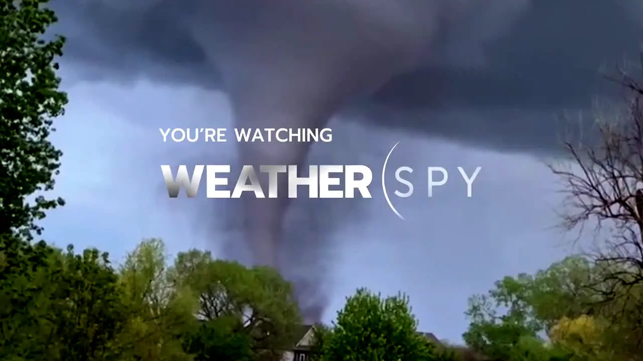 Weather Spy live