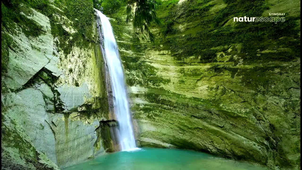 Stingray Naturescape — прямой эфир