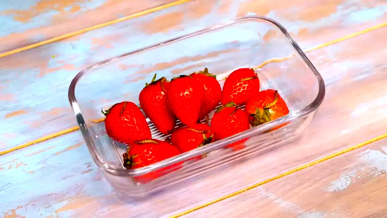 5-Minute Crafts live