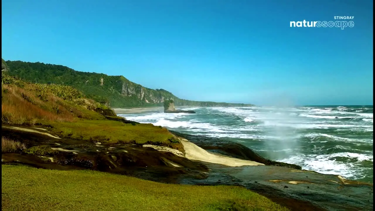 Stingray Naturescape in diretta
