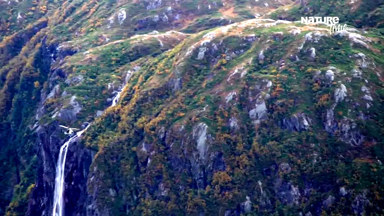 Nature Time in diretta