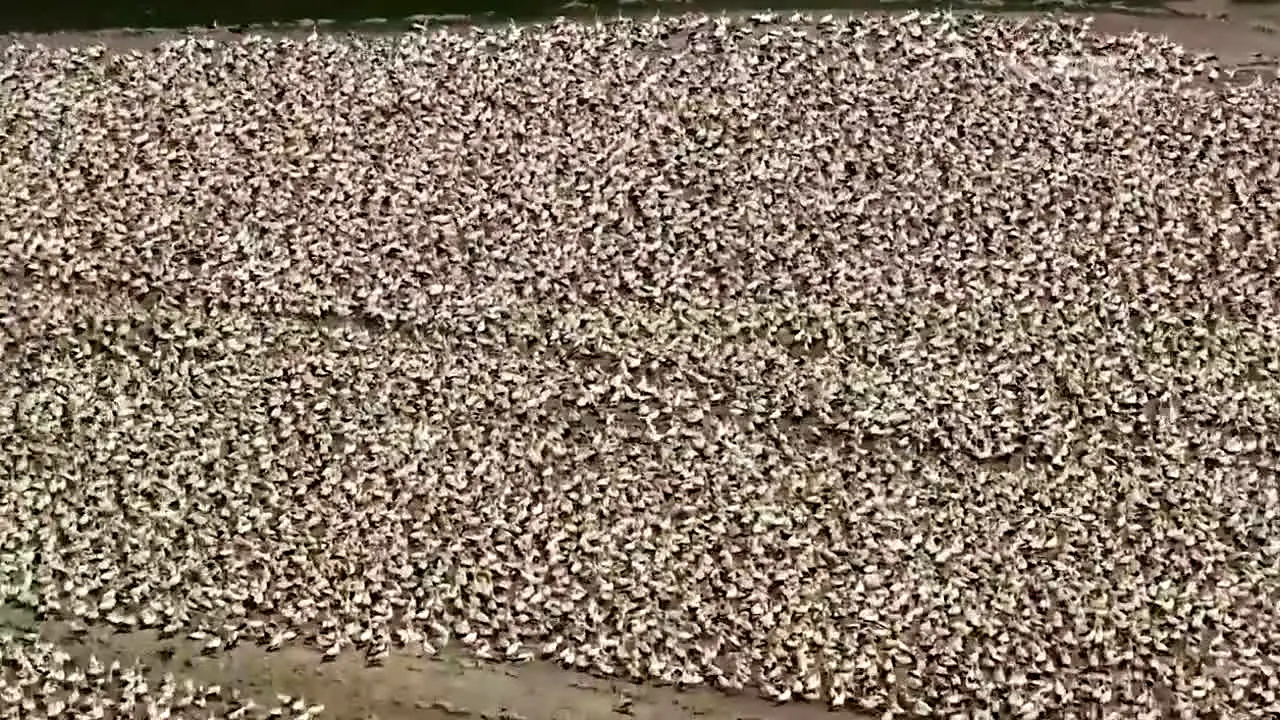 Nature Time en direct