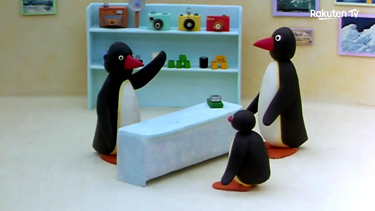 Pingu en direct