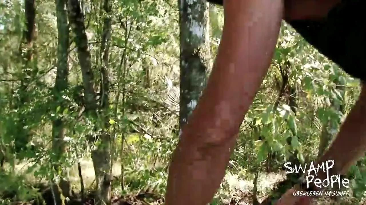 Swamp People - Überleben im Sumpf live