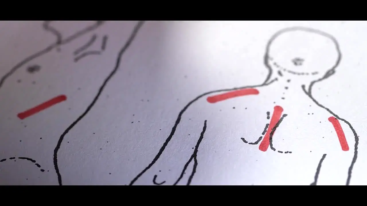 Täterjagd — прямой эфир