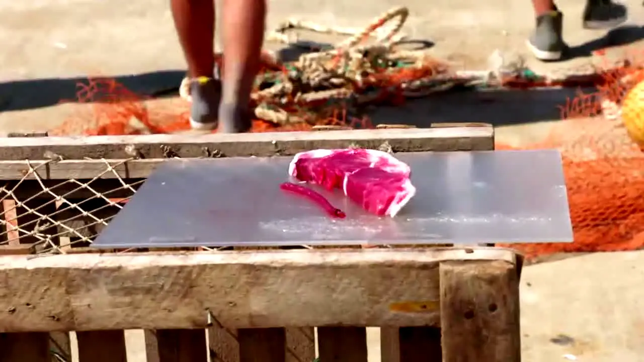 Wicked Tuna en direct