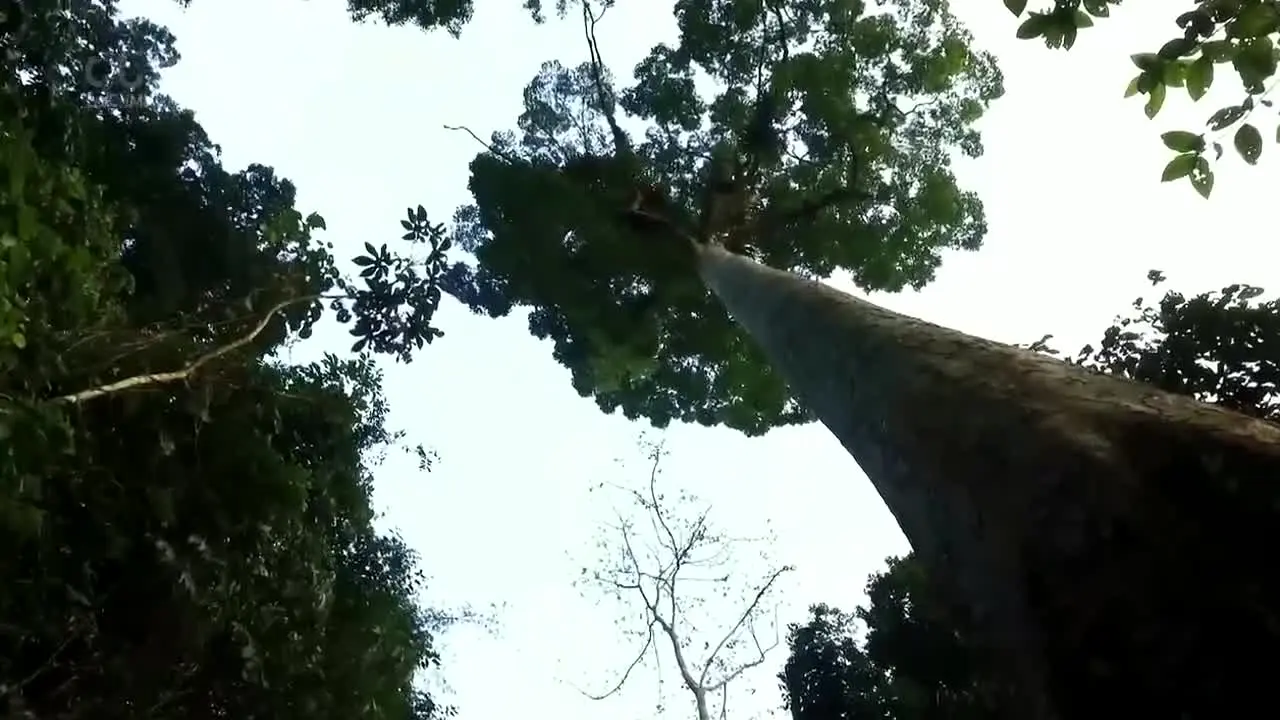 CGTN Documentary en direct