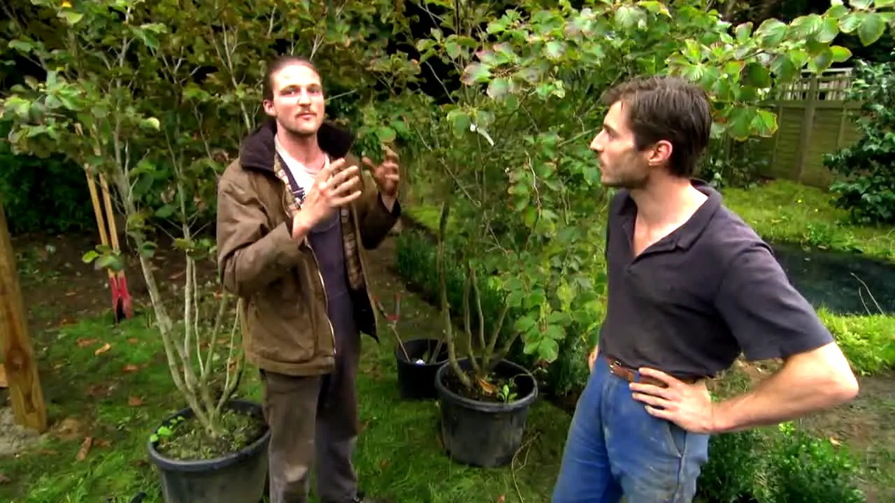 Garden Rescue live