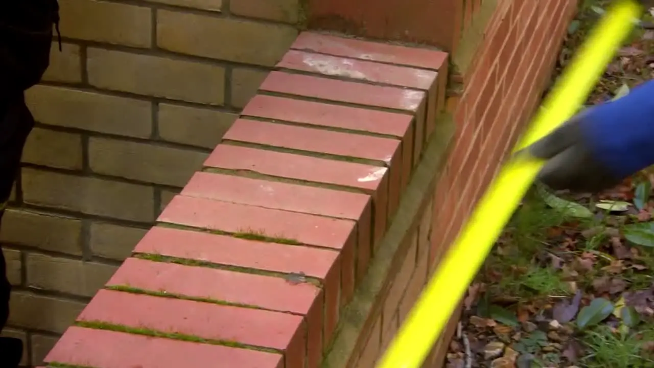 Garden Rescue en direct