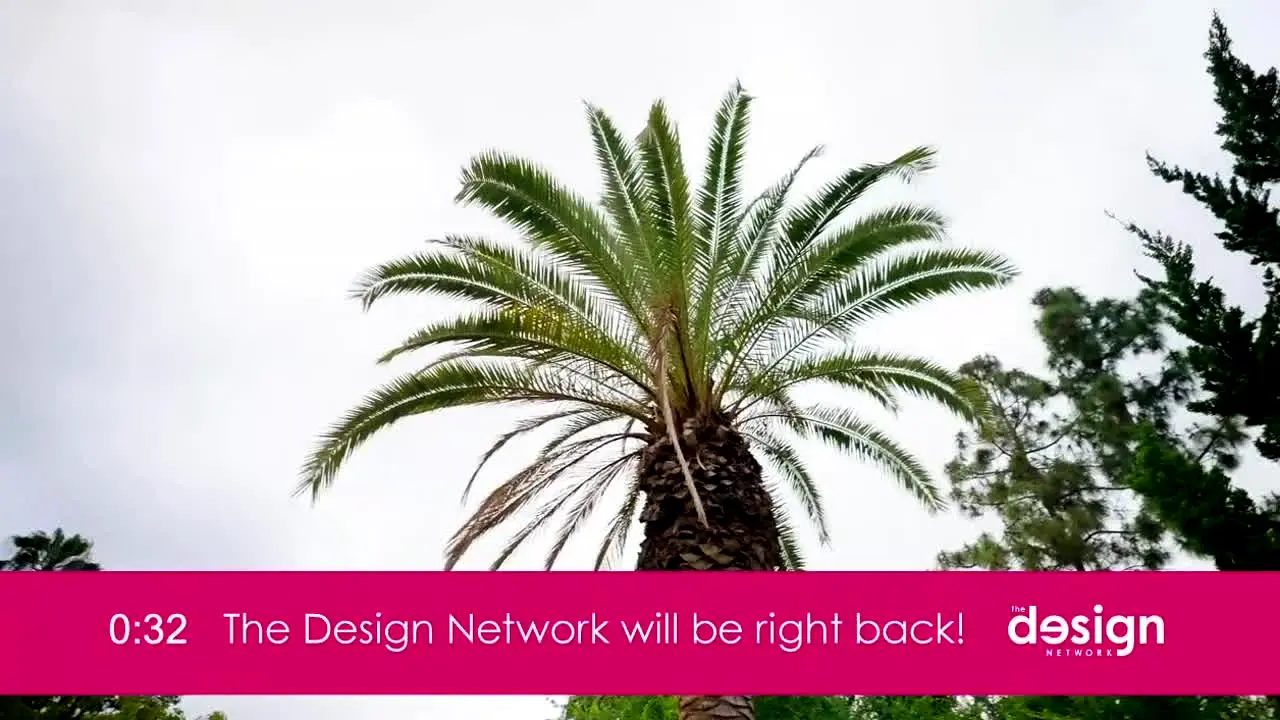 The Design Network ao vivo