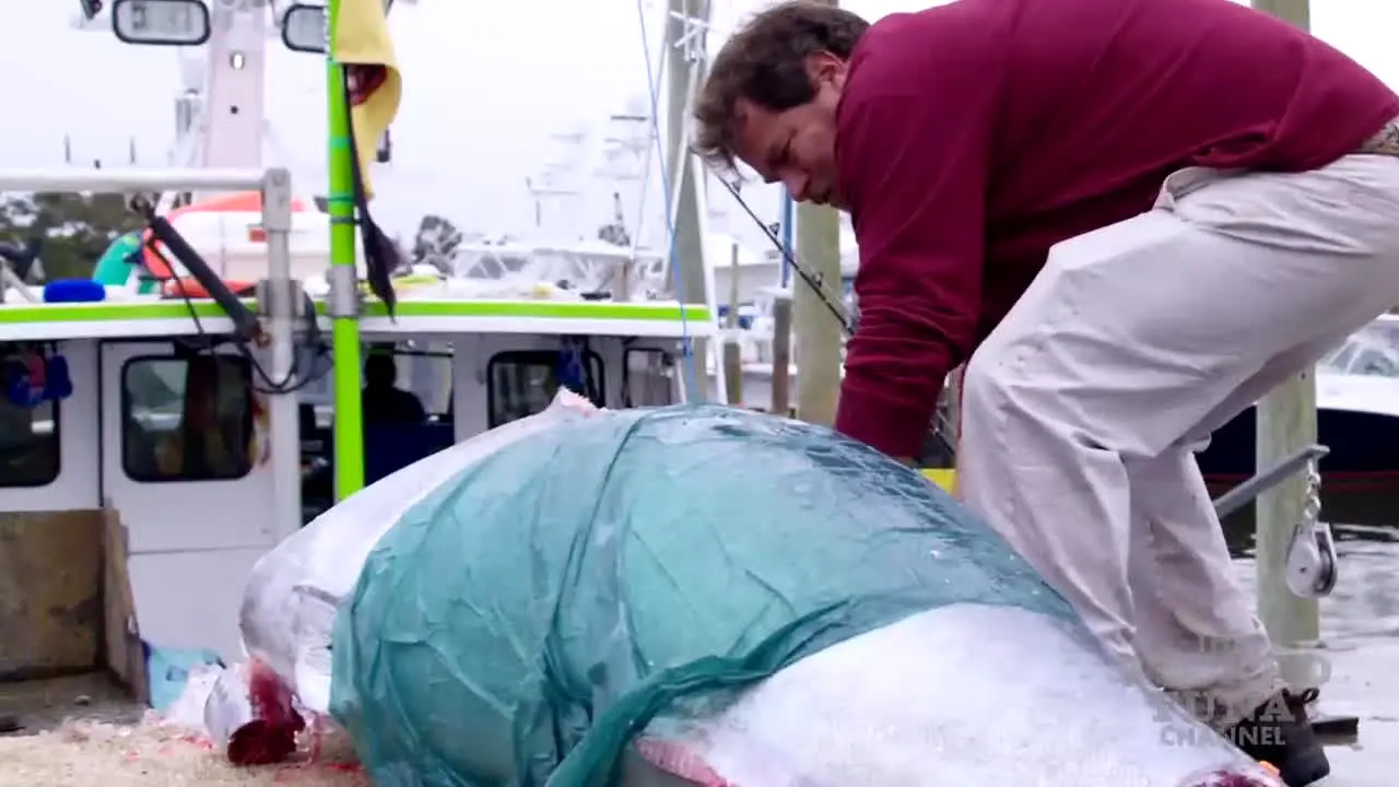 Wicked Tuna live
