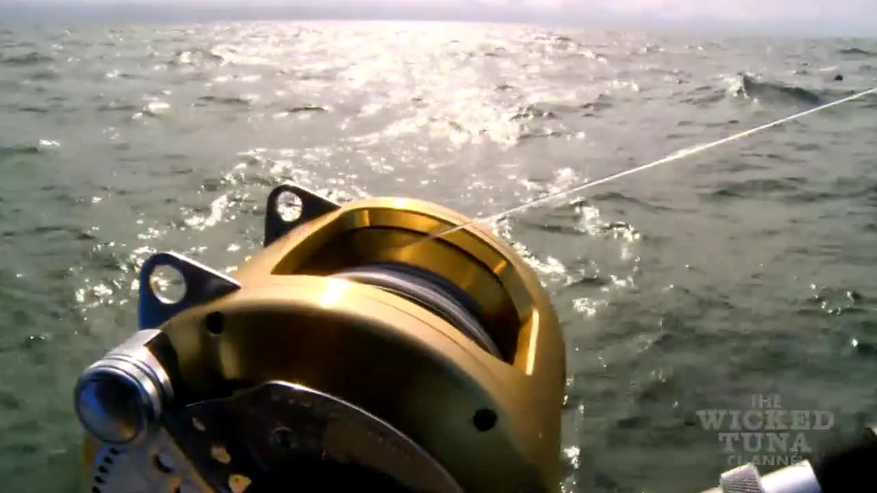 Wicked Tuna en direct