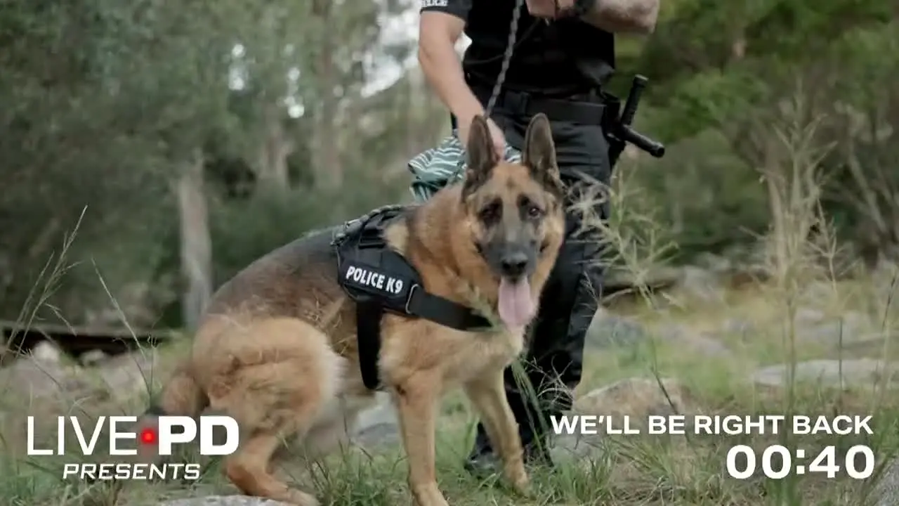 Live PD Presents live
