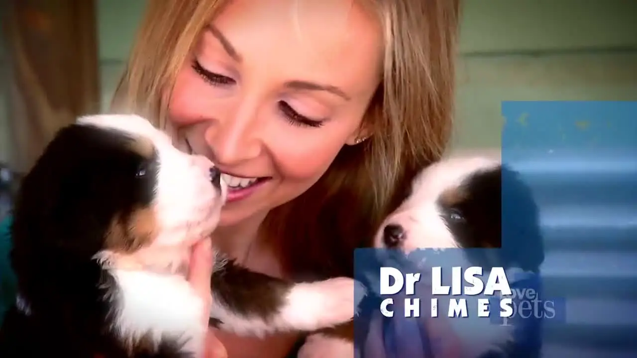 Love Pets in diretta
