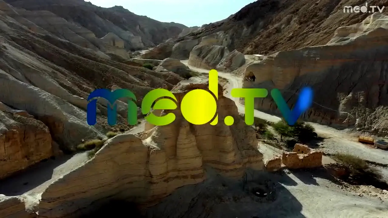 Med.TV — прямой эфир