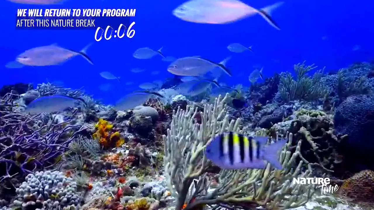 Nature Time live