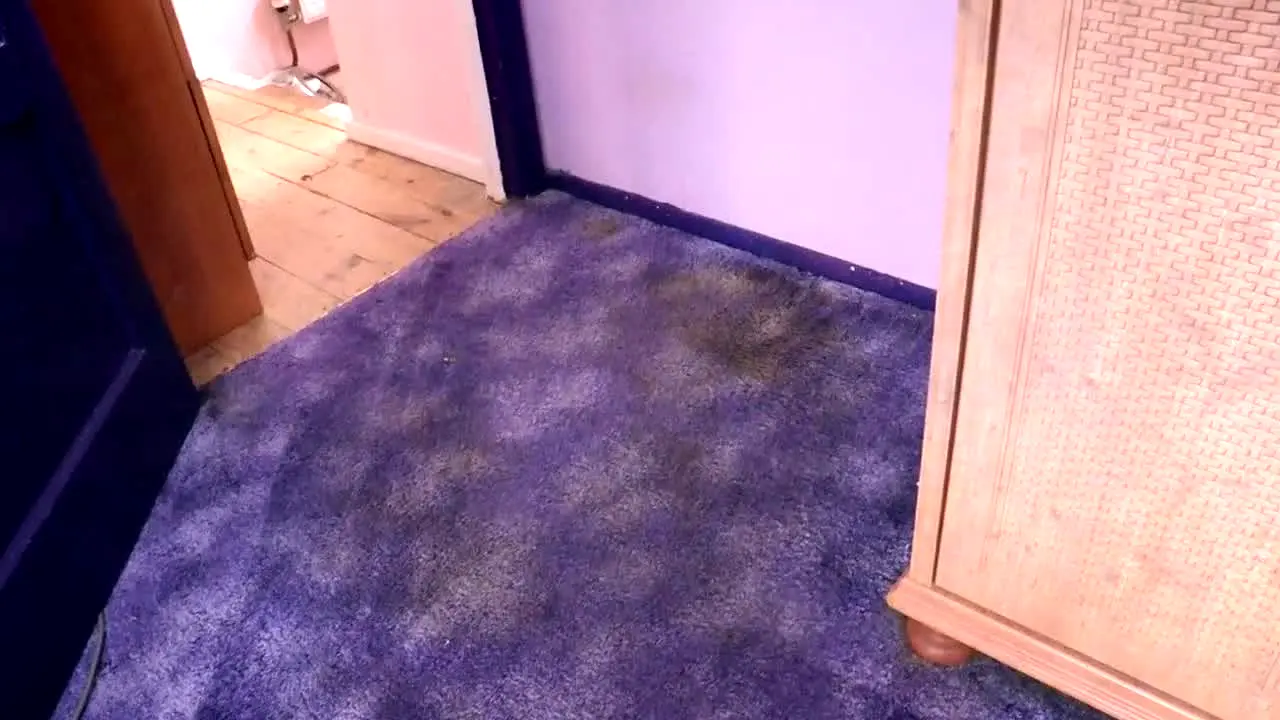 Obsessive Compulsive Cleaners in diretta