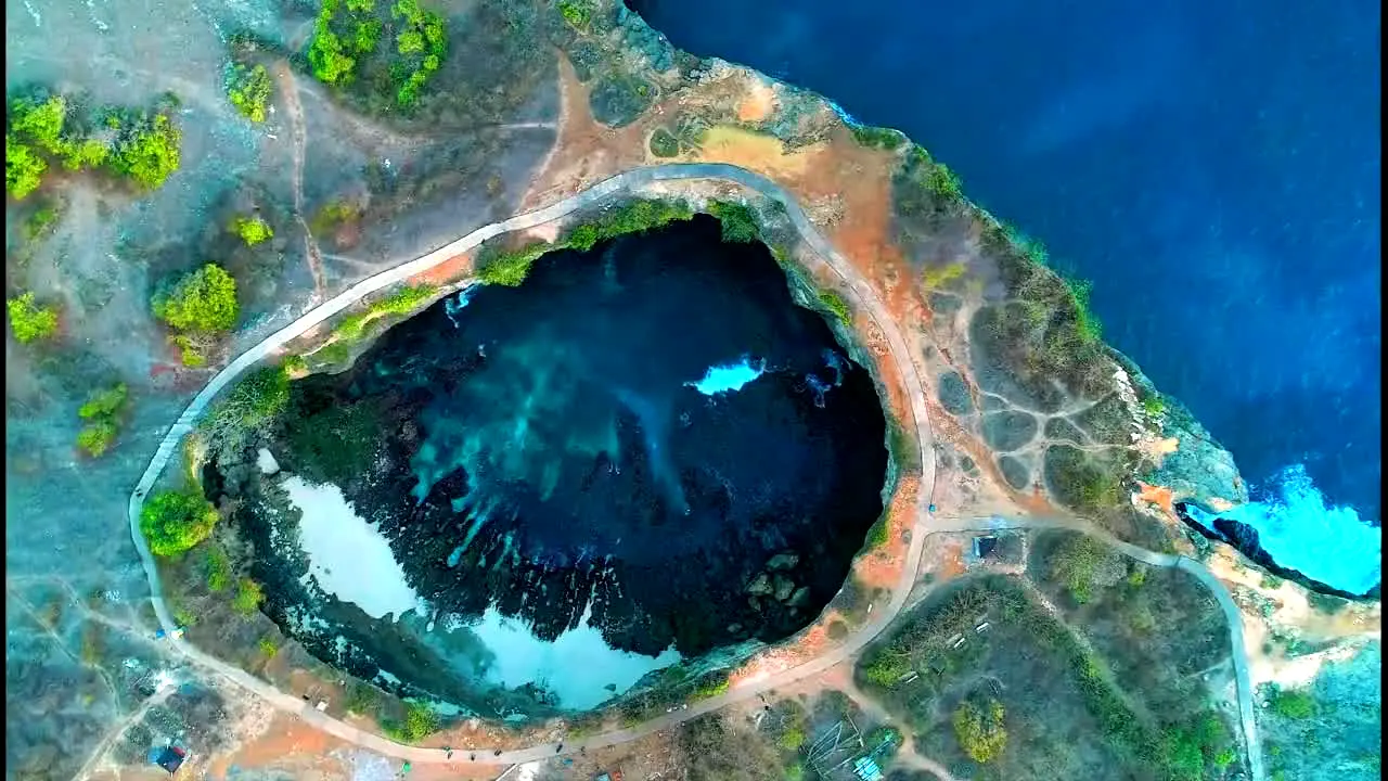 Stingray Naturescape live