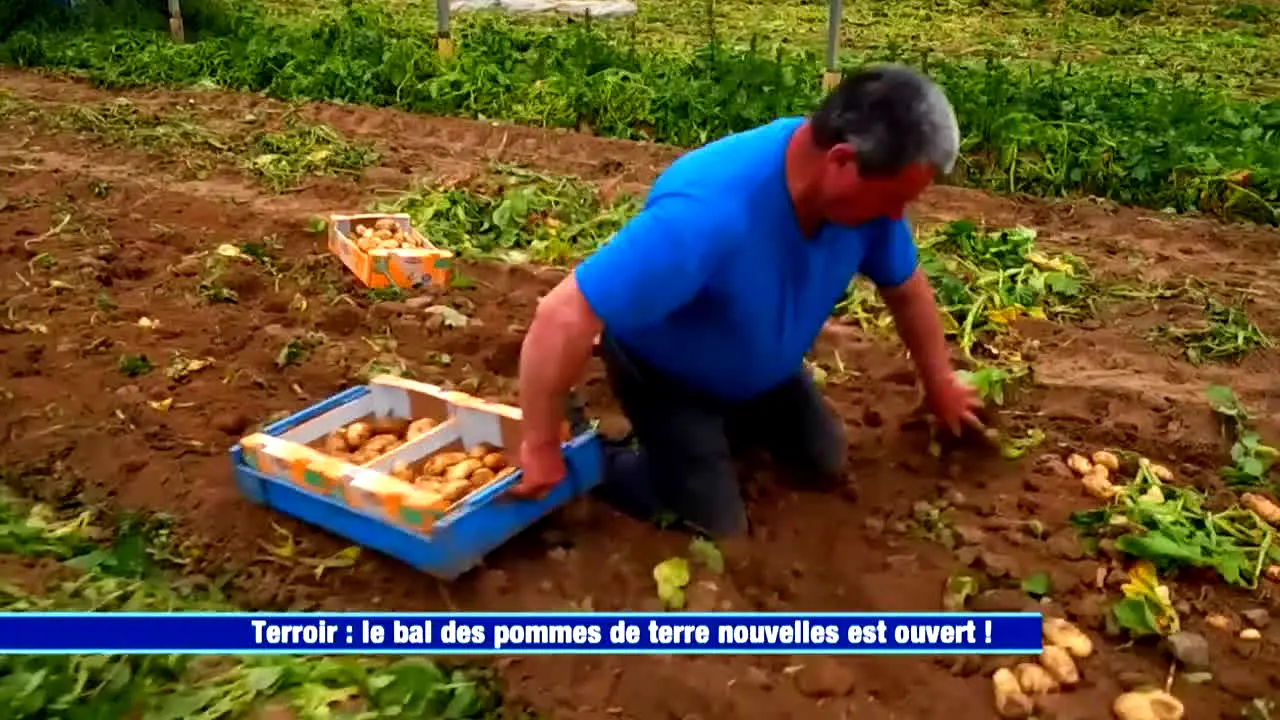 Ça Chauffe en Cuisine live