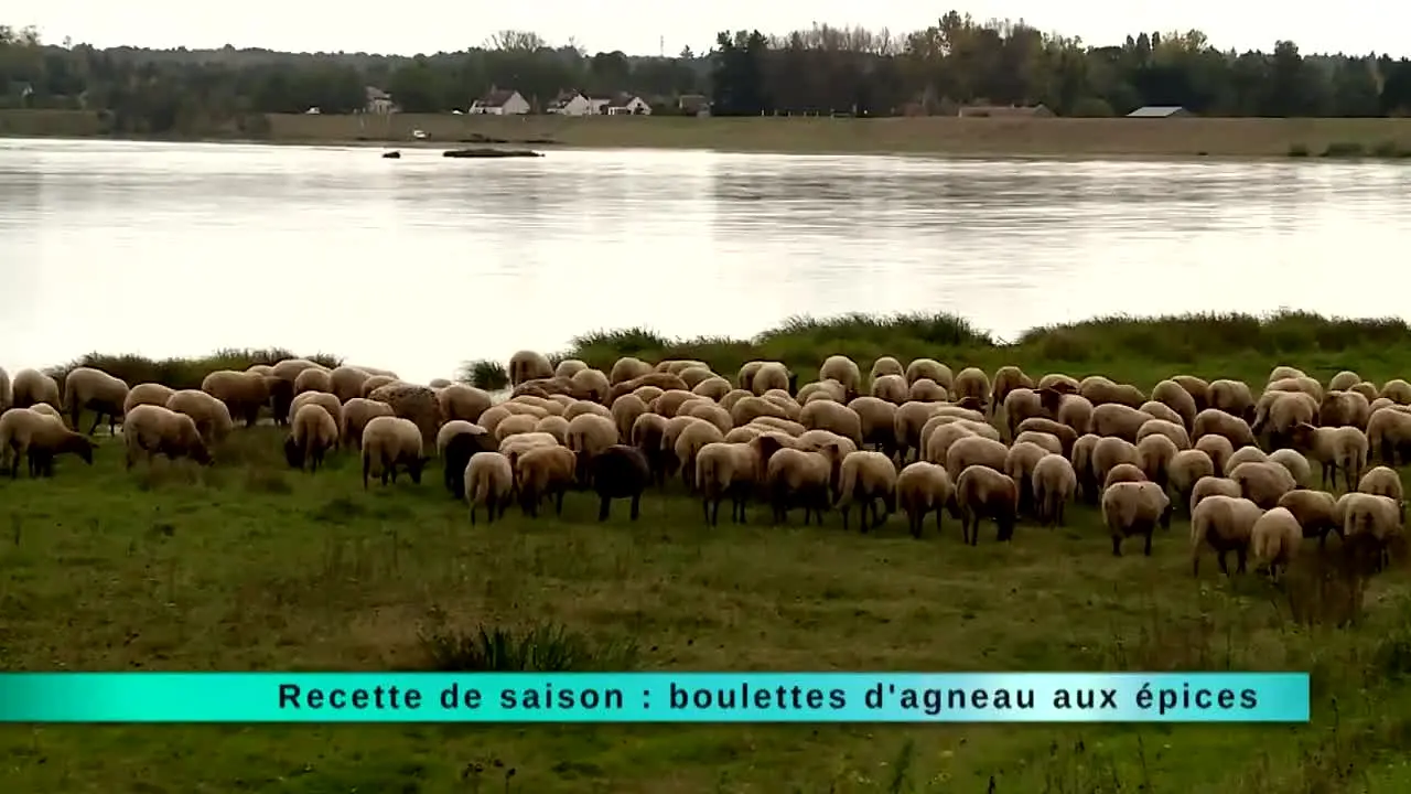 Ça Chauffe en Cuisine live