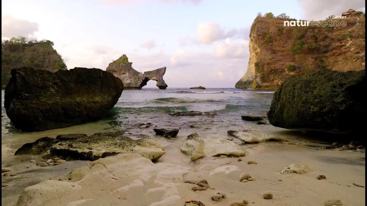 Stingray Naturescape ao vivo