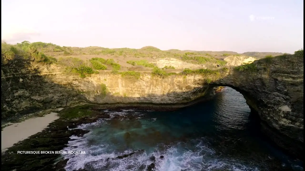 Stingray Naturescape en vivo