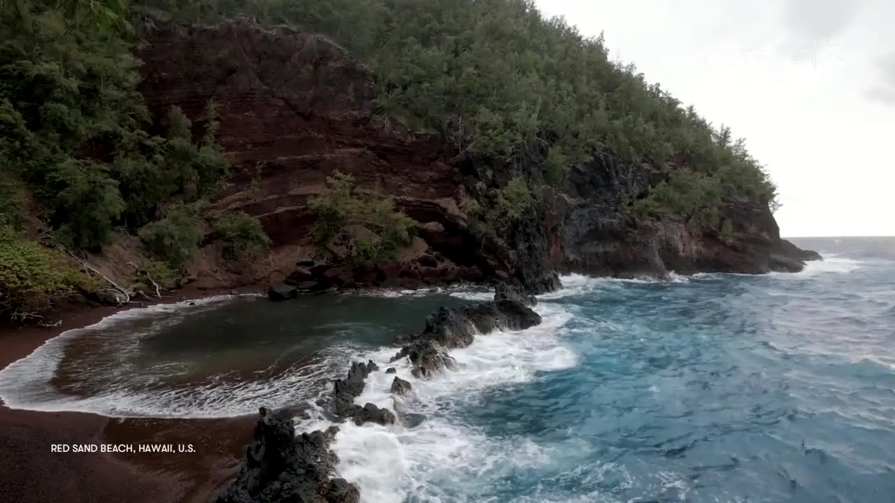 Stingray Naturescape — прямой эфир
