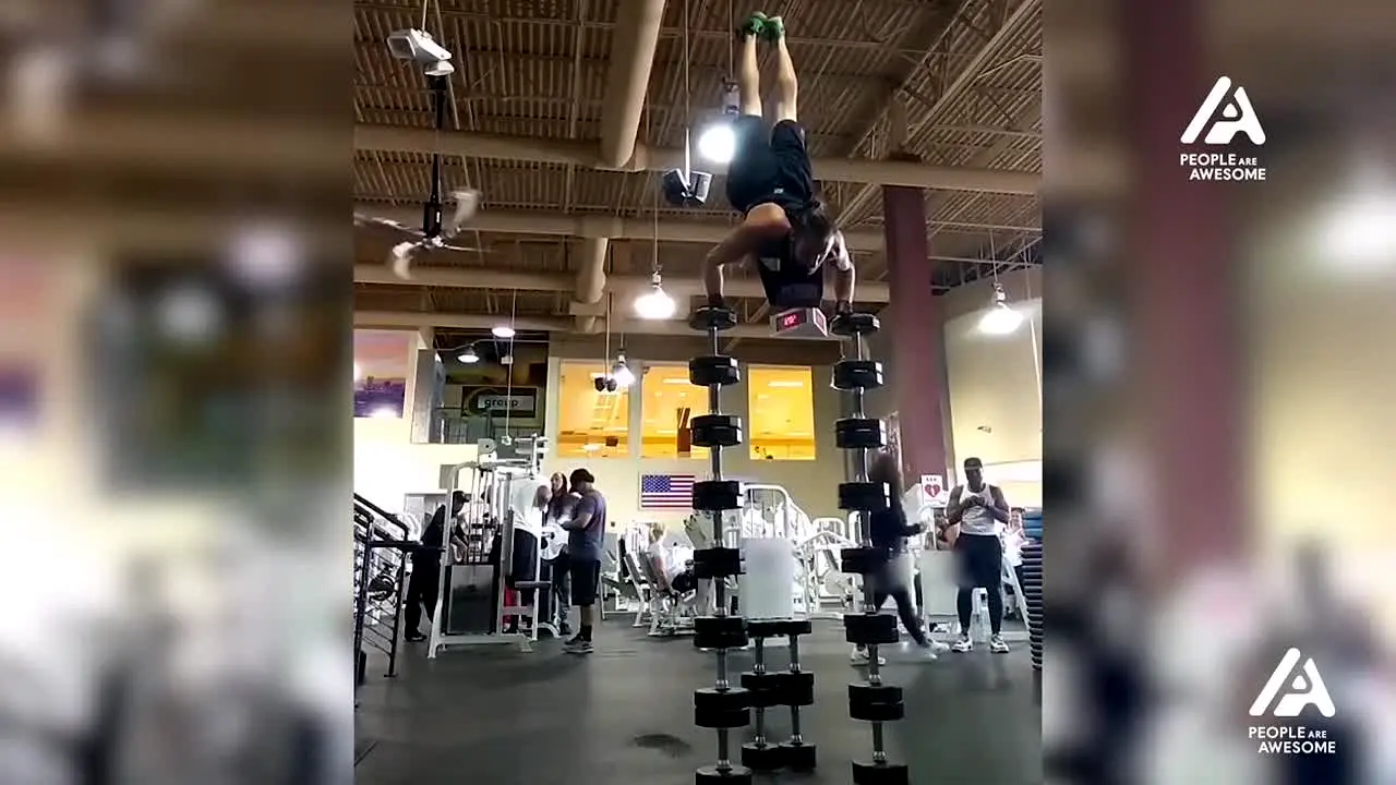 People Are Awesome live