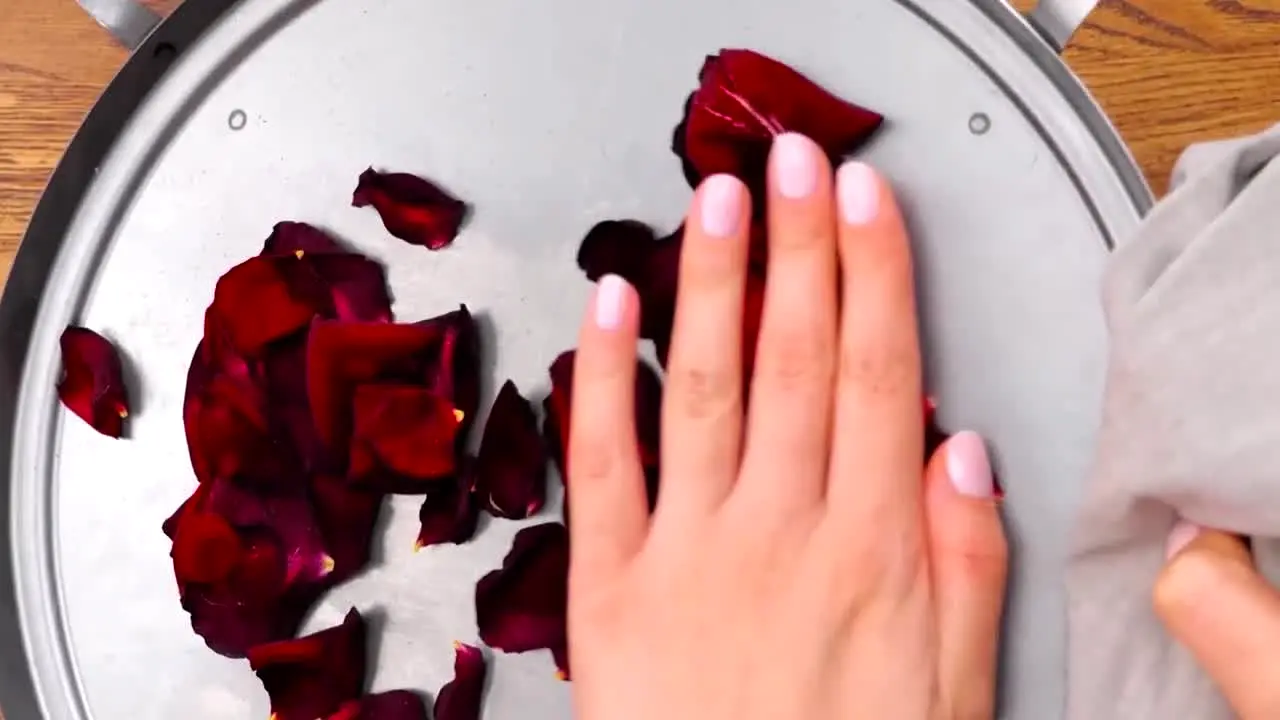 5-Minute Crafts live